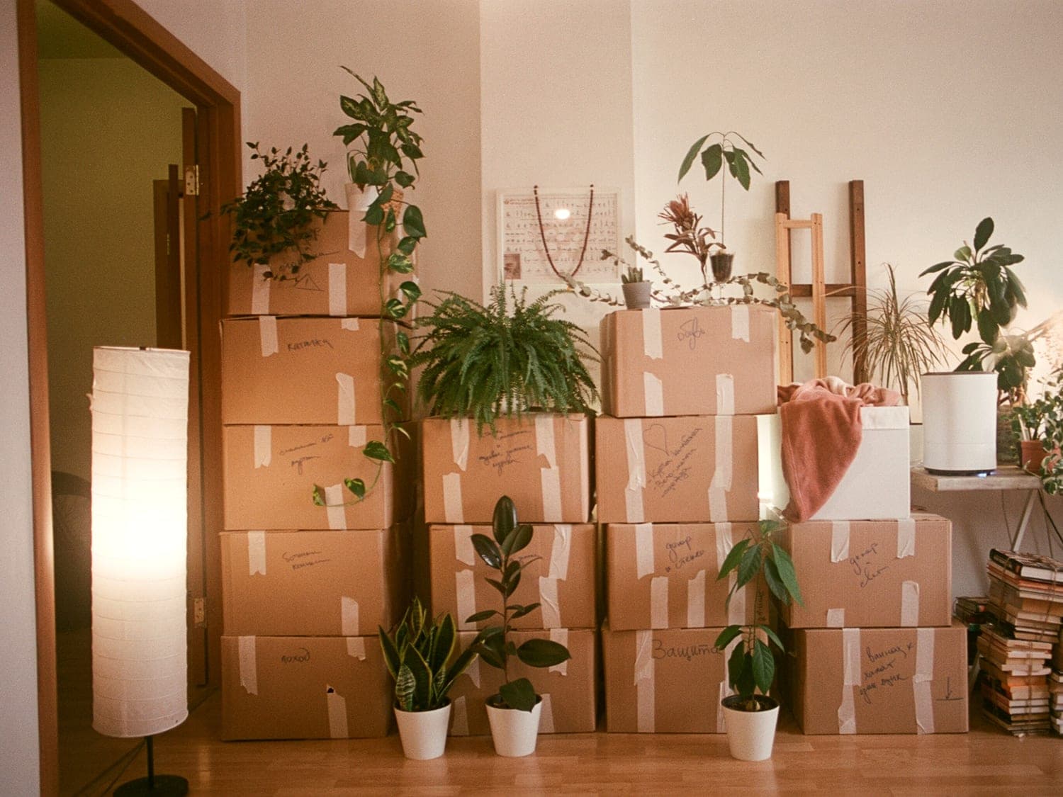 Moving boxes and plants in a home